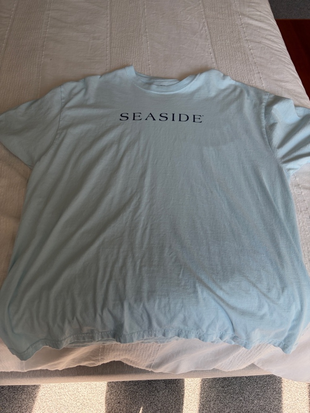 Seaside Short Sleeve Logo Tee in Pale Blue